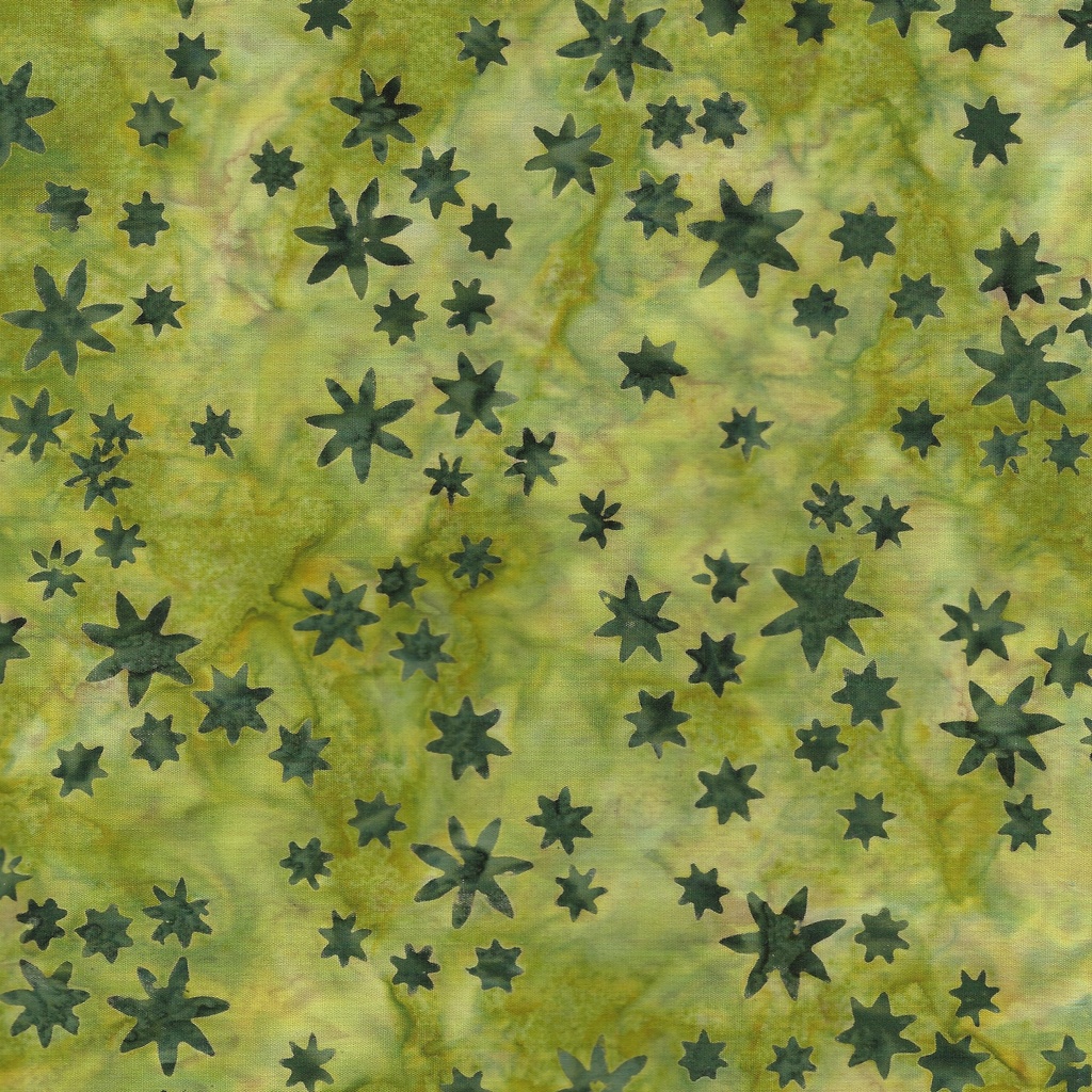 712405630 / Mini Floral-Green Lemongrass