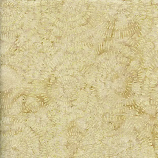 BE22-F1 / Dandelion-Crumbs