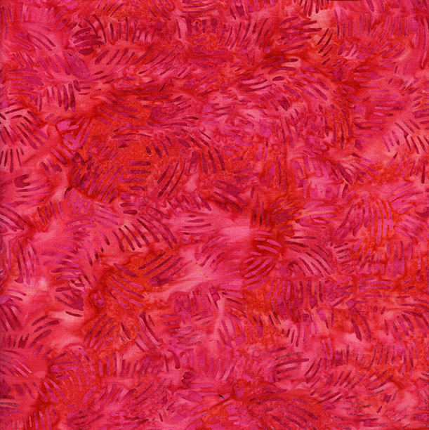 BE29-B1 / Cat Scratch-Watermelon