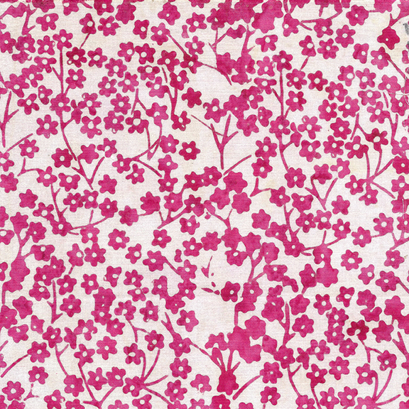 Strawberry Margaritia Rayon