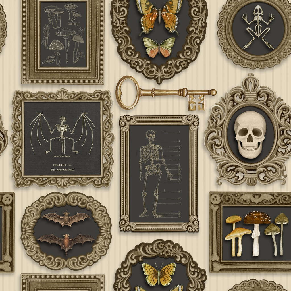 W100-015-072 / Gallery Wall - Cream