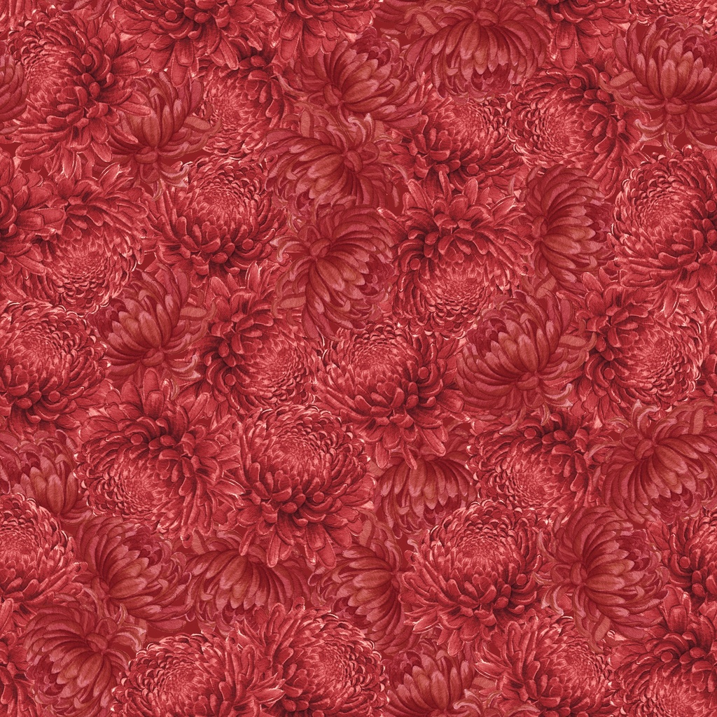 [W100-031-360] W100-031-360 / Packed Chrysanthemum-Red
