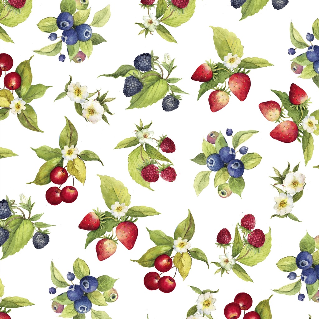 W105-012-003 / Fruit Toss-White