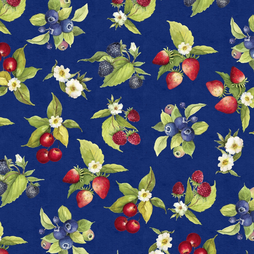 [W105-012-573] W105-012-573 / Fruit Toss-Navy