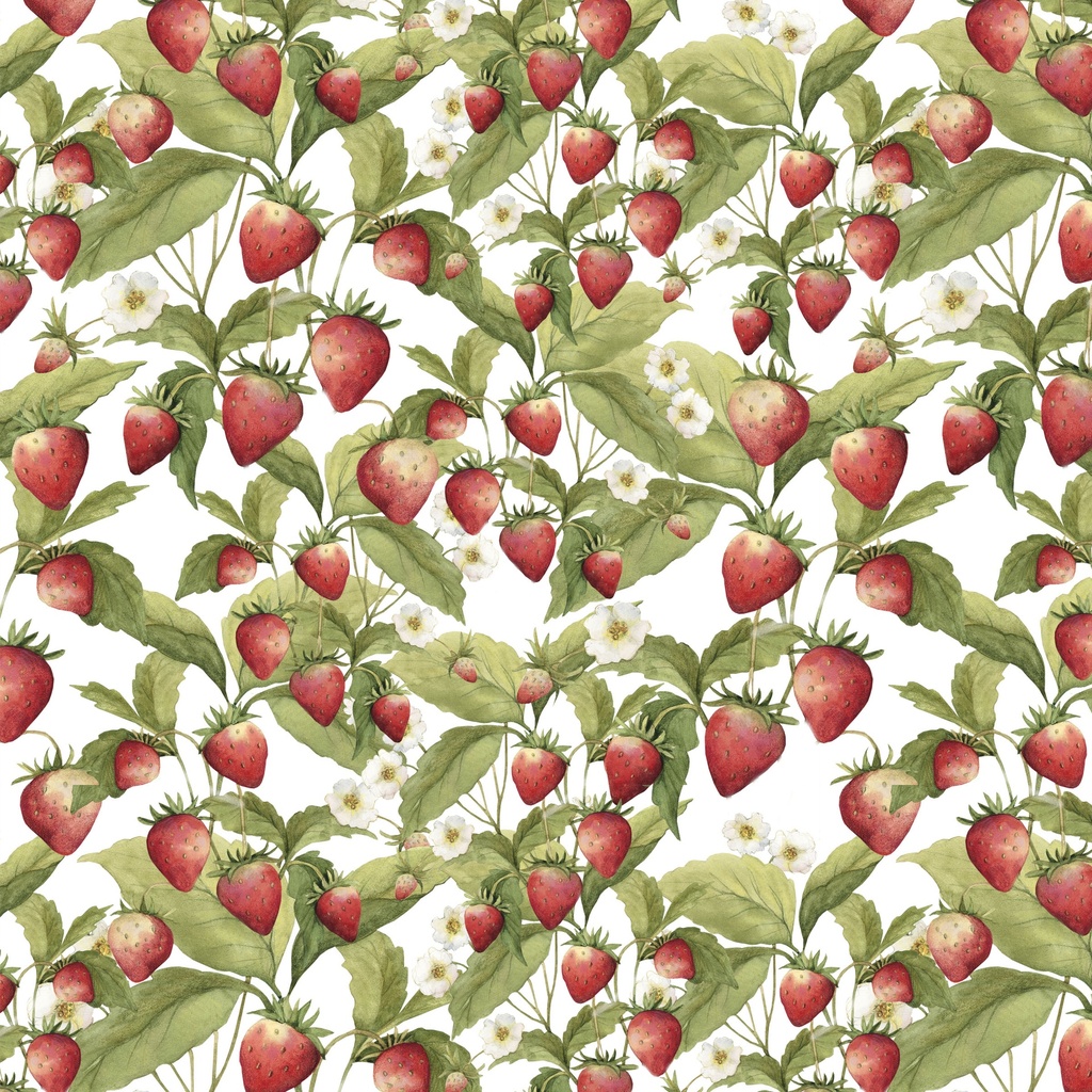 W105-013-036 / Strawberries-White