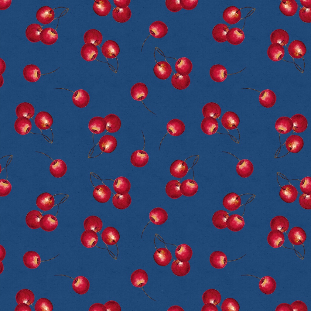 W105-014-573 / Cherries-Navy