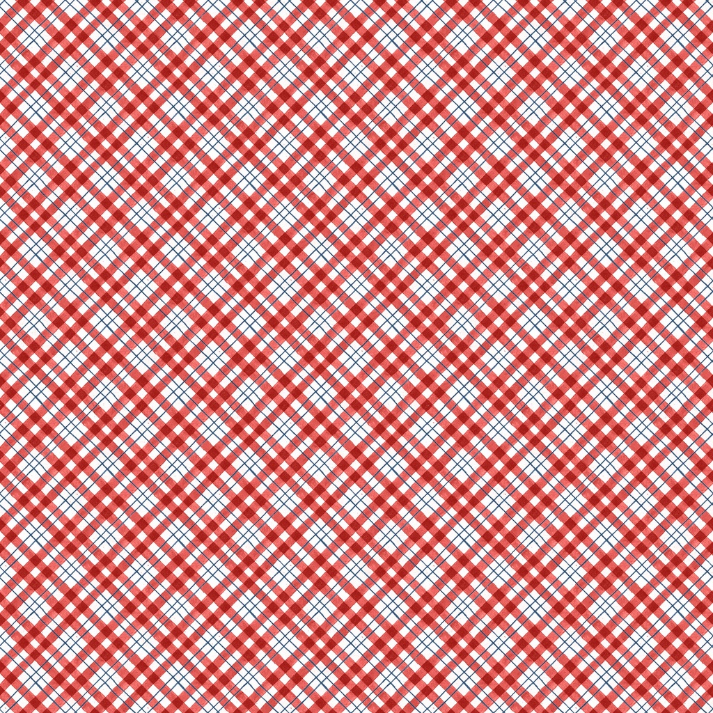 W105-018-306 / Diagonal Plaid-Red