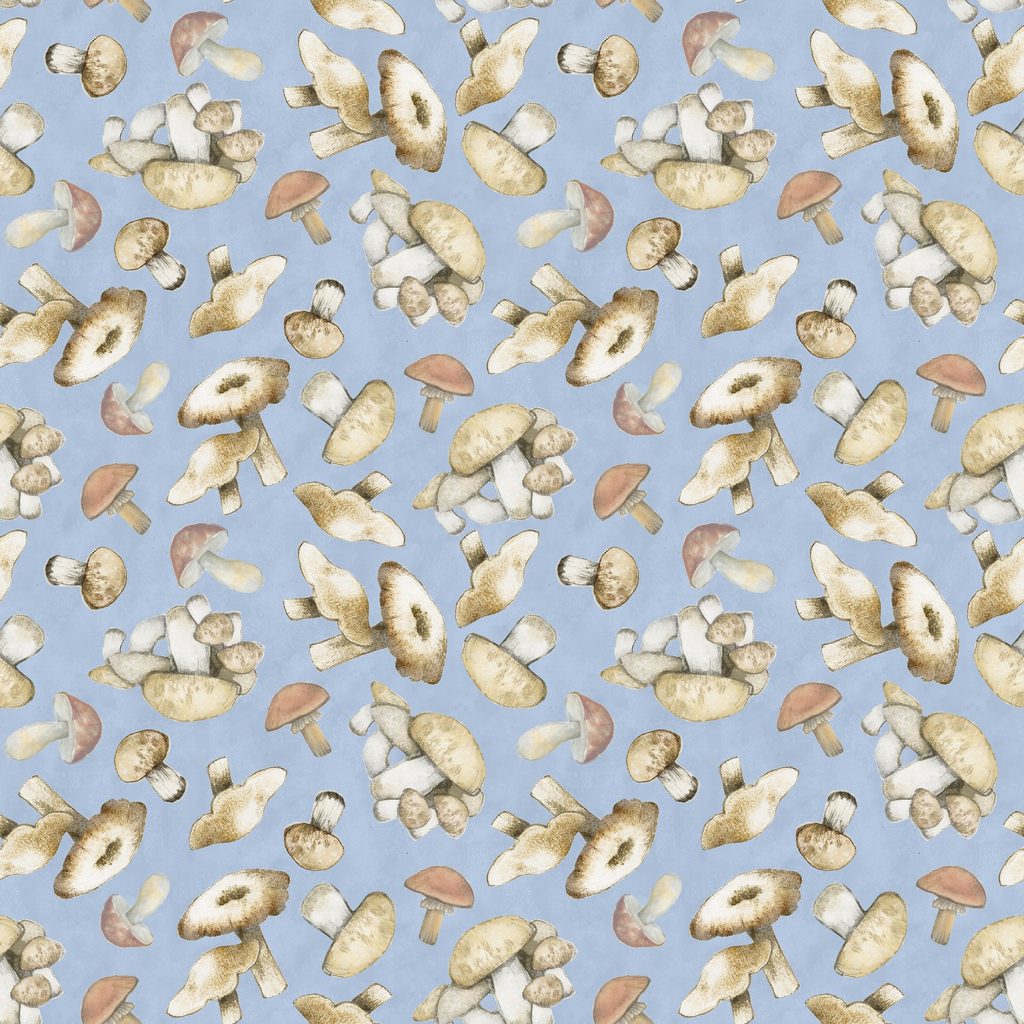 [W105-025-502] W105-025-502 / Mushroom Toss-Blue