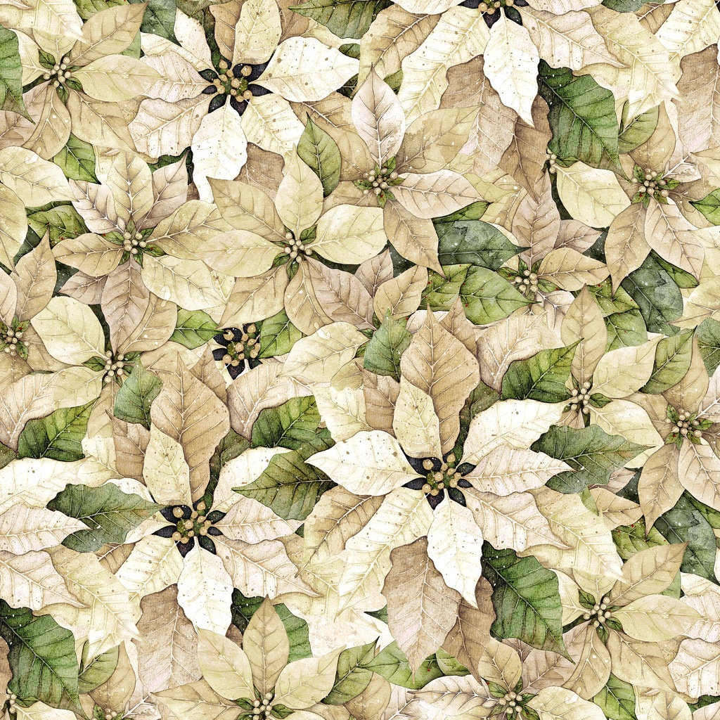 [W110-006-006] W110-006-006 / Packed Poinsettia-Cream