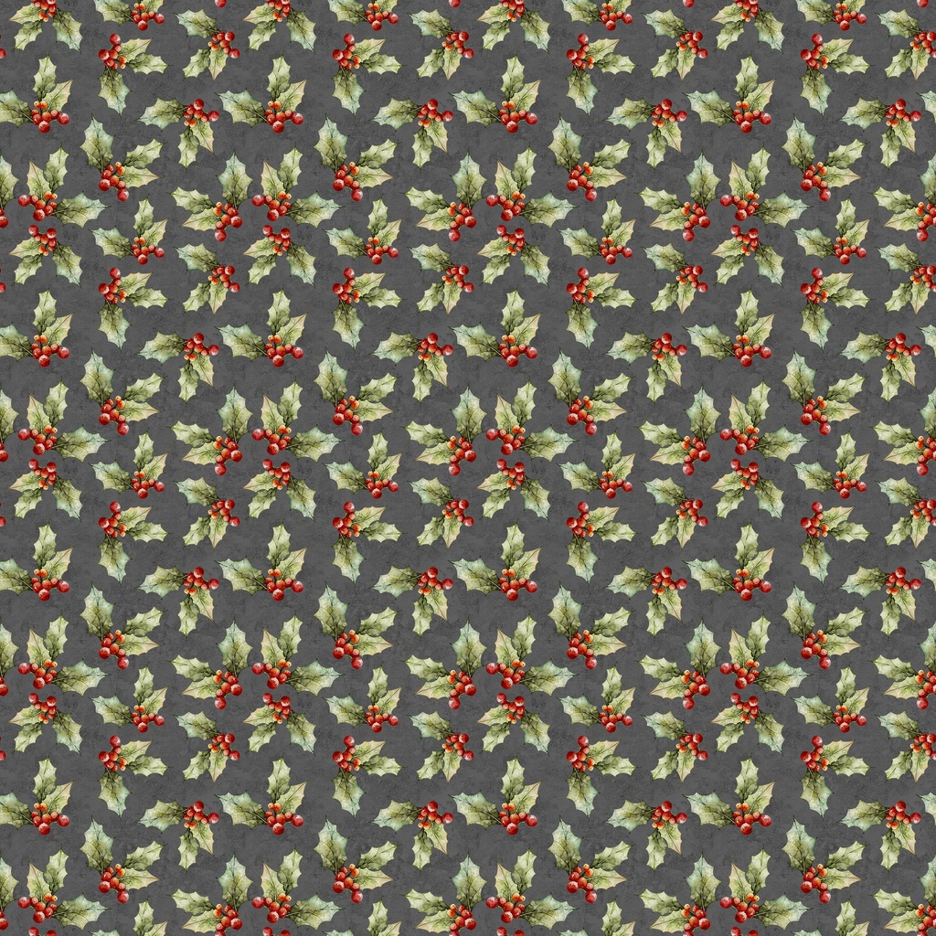 W110-009-763 / Holly Toss-Gray