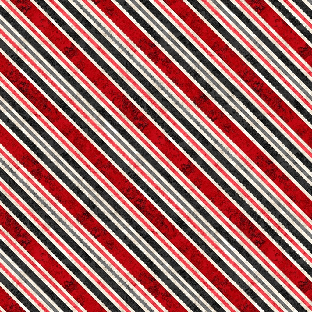 W110-011-307 / Diagonal Stripe-Red/Black