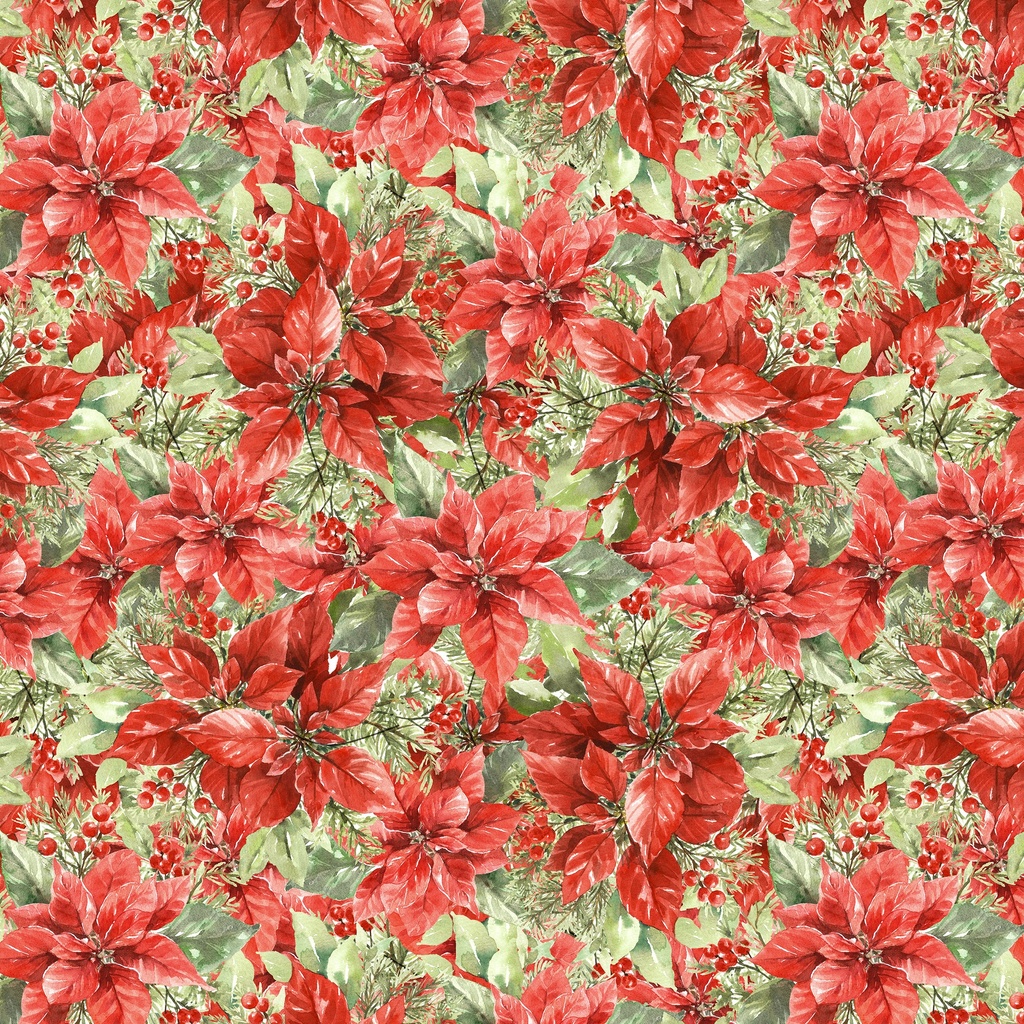 [W120-004-363] W120-004-363 / Packed Poinsettias-Multi