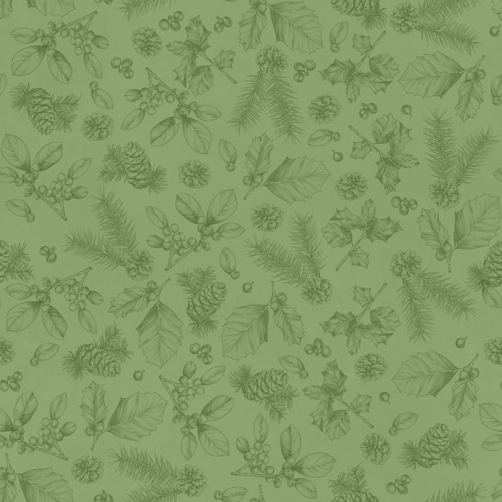 [W120-009-650] W120-009-650 / Sketches-Green