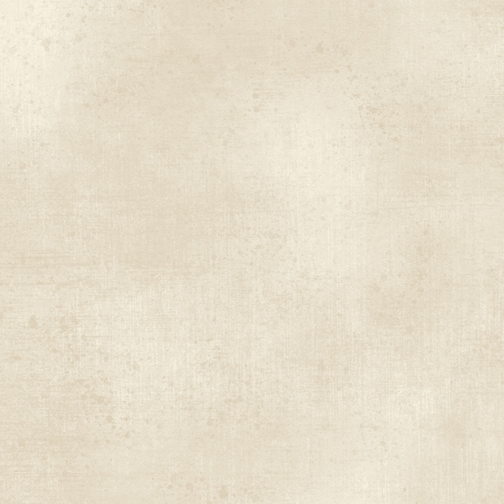 W130-001-017 / Gesso-Canvas