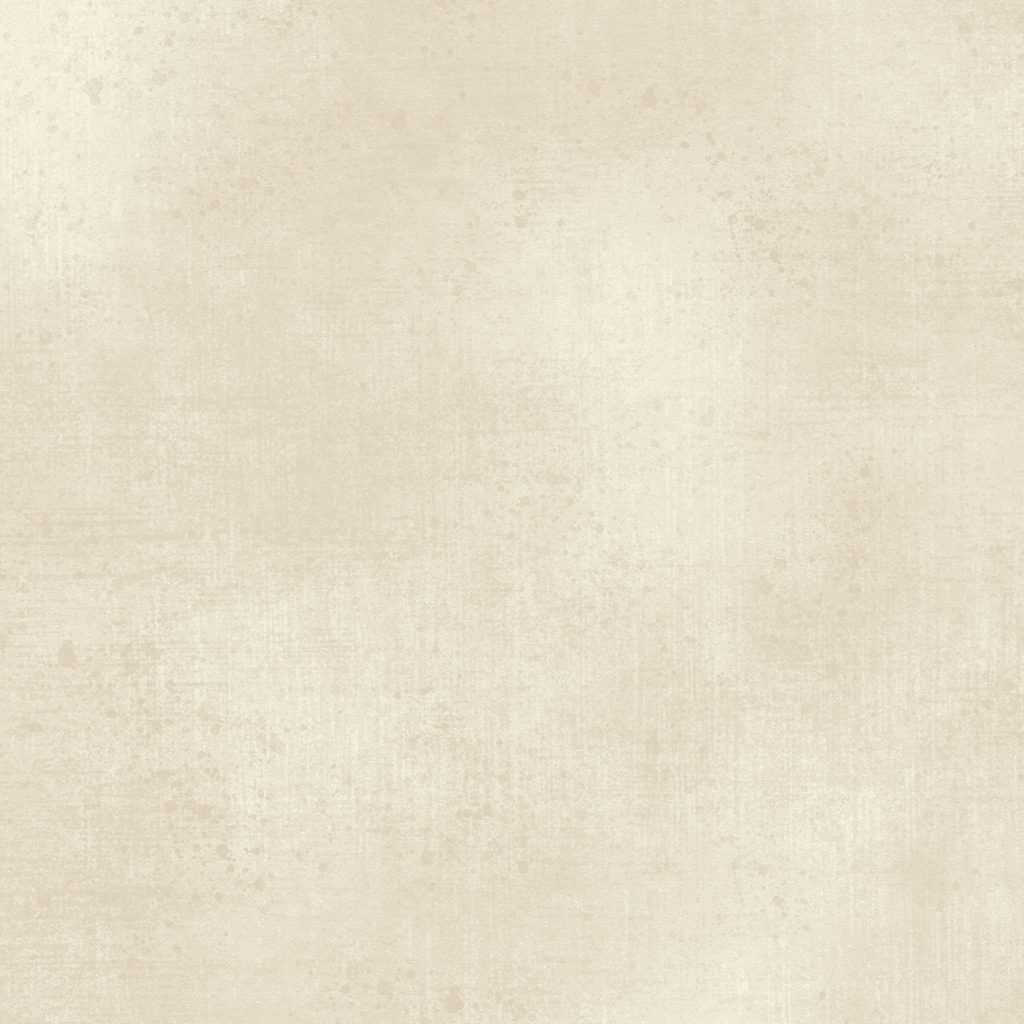 [W130-001-017] W130-001-017 / Gesso-Canvas