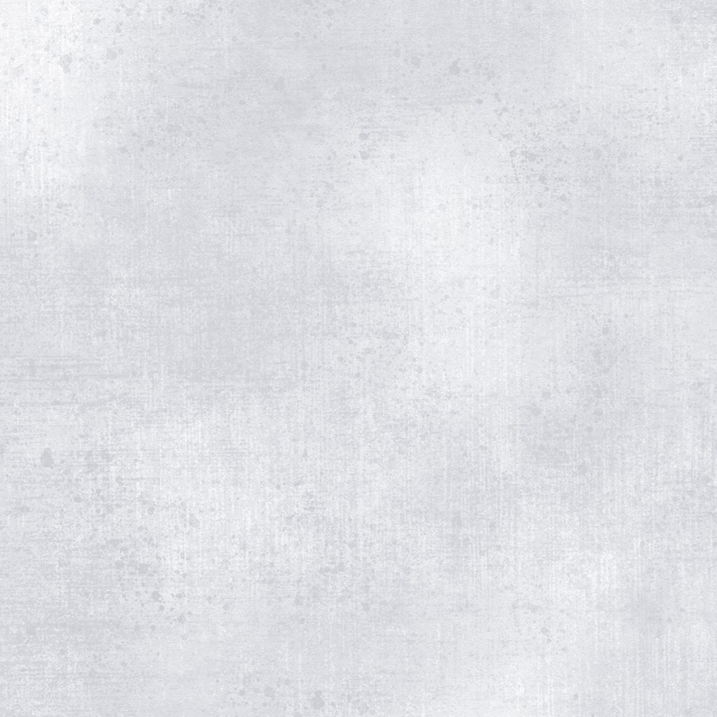 [W130-001-041] W130-001-041 / Gesso-Silver