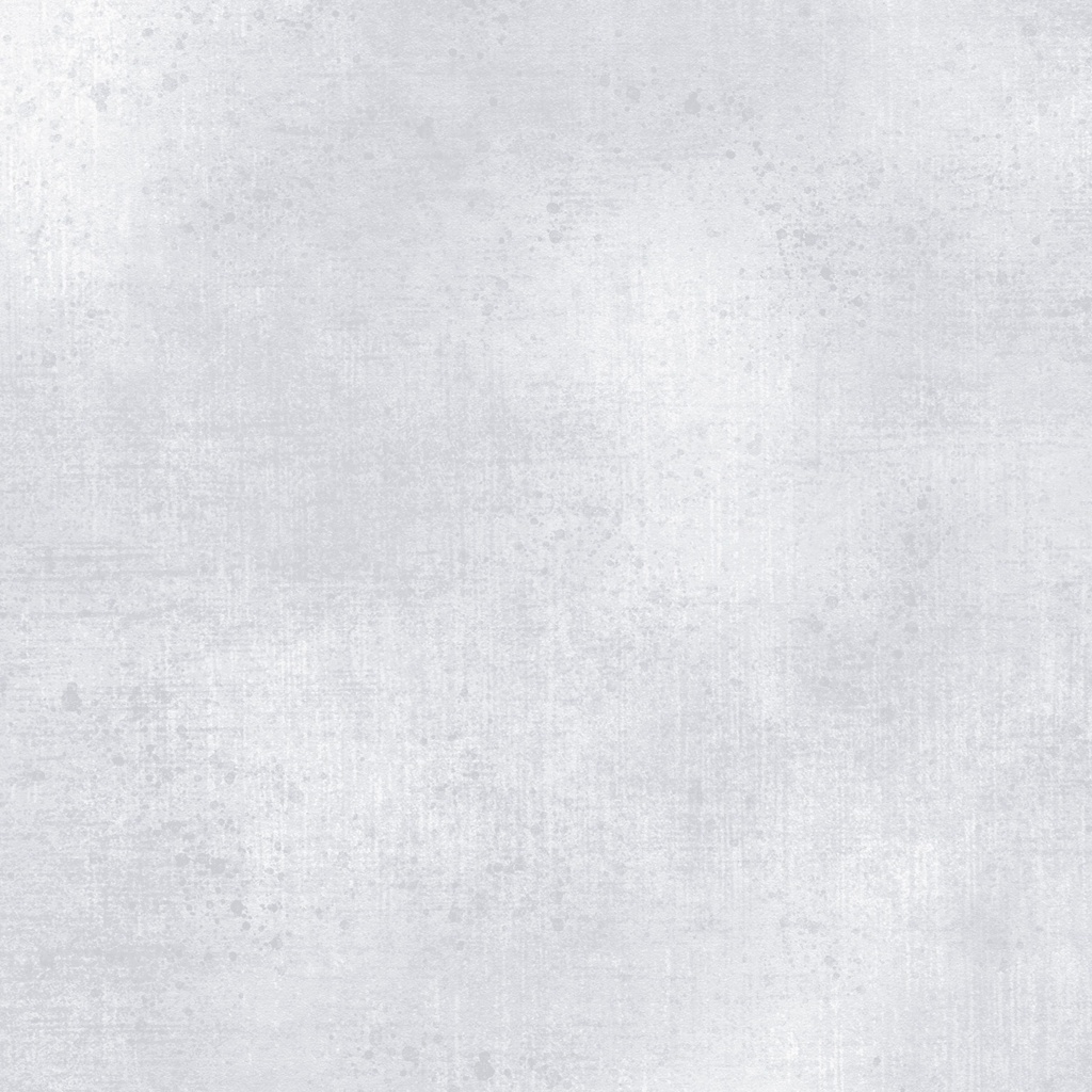 W130-001-041 / Gesso-Silver