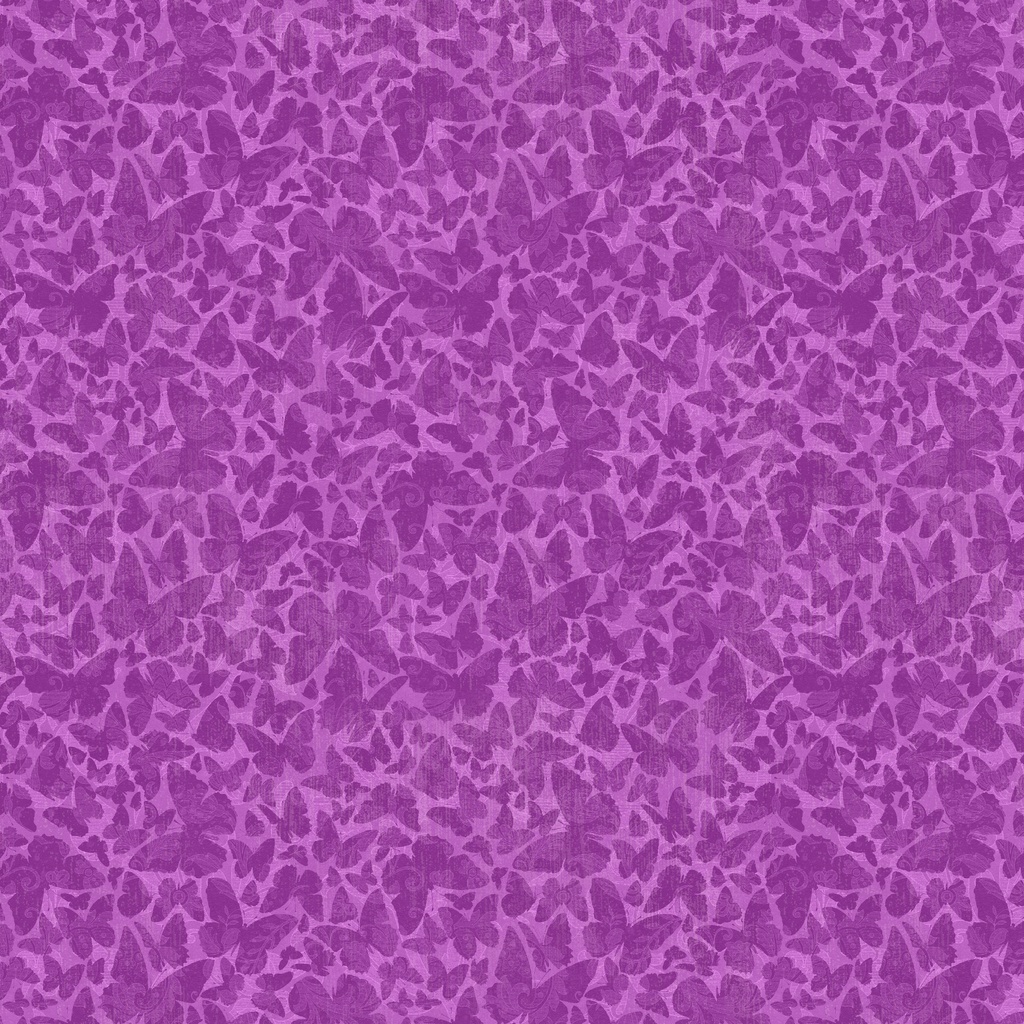 W130-010-185 / Butterfly Silhouette-Magenta