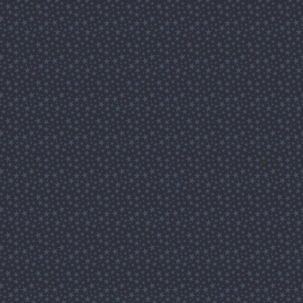 [W140-009-590] W140-009-590 / Tiny Stars-Navy
