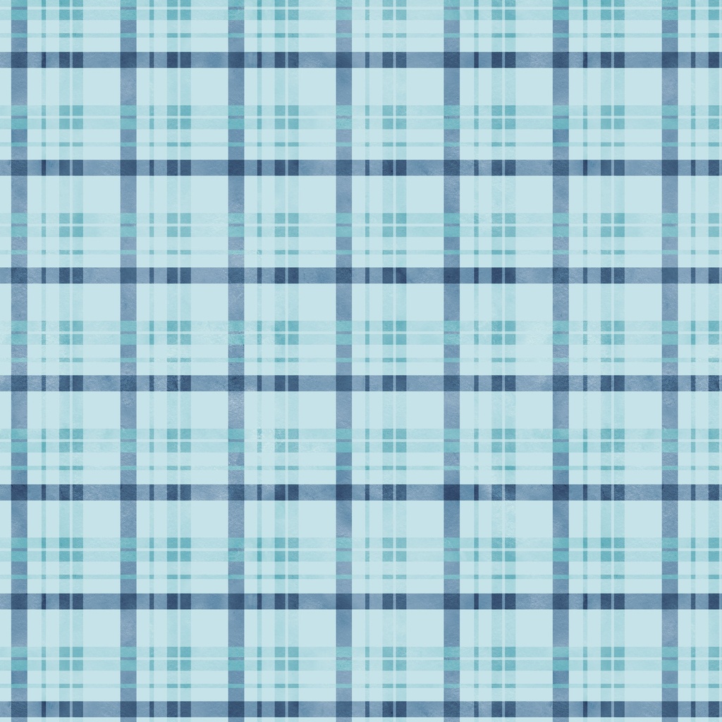 W150-011-555 / Plaid - Blue