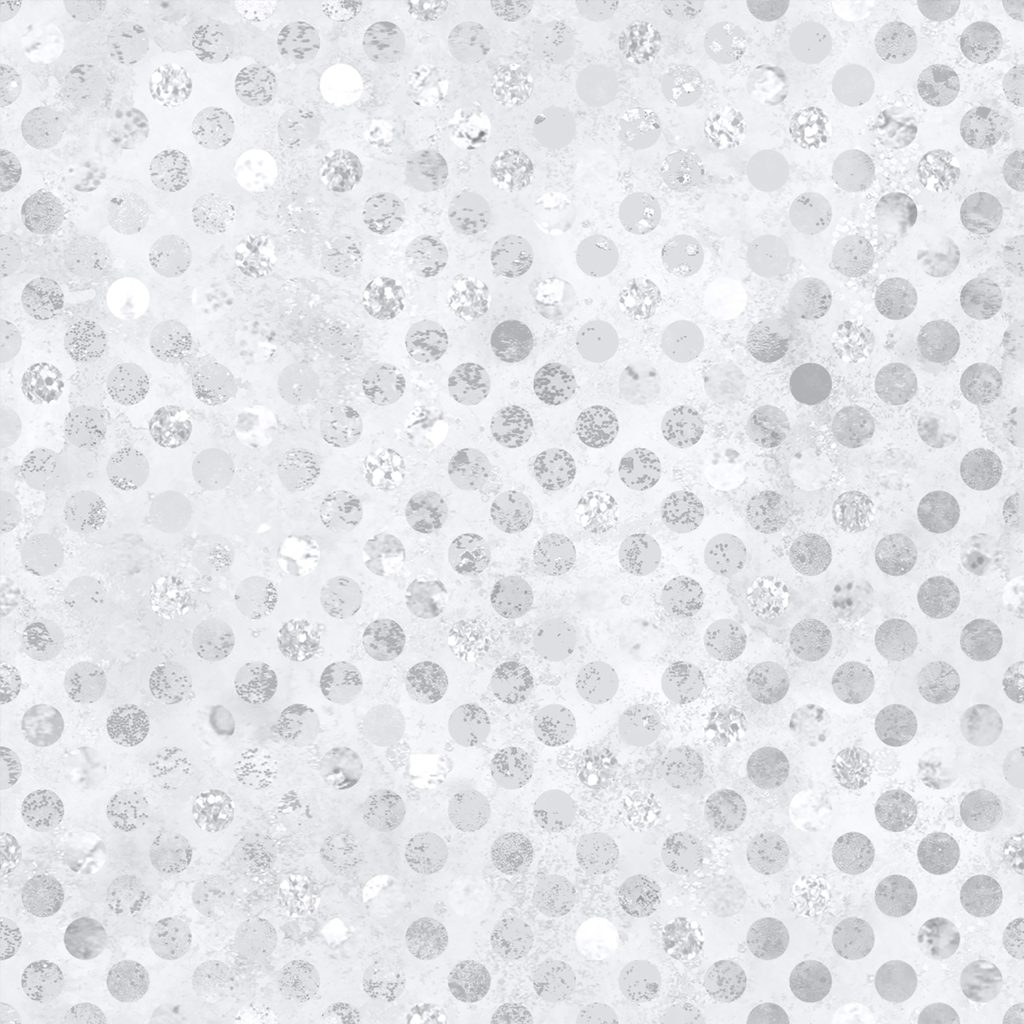 [W165-001-041] W165-001-041 / Codici-Silver