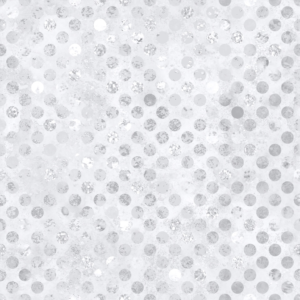W165-001-041 / Codici-Silver