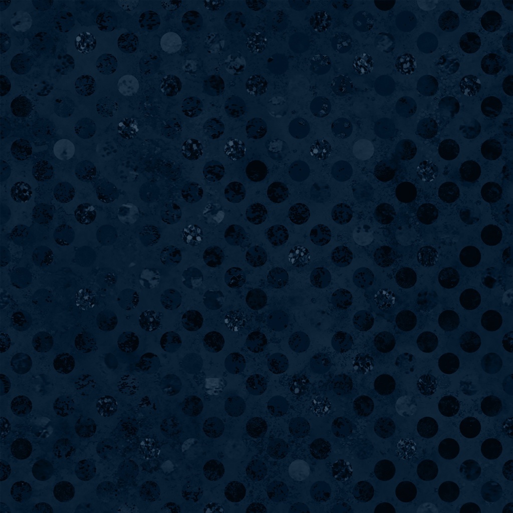 W165-001-585 / Codici-Navy