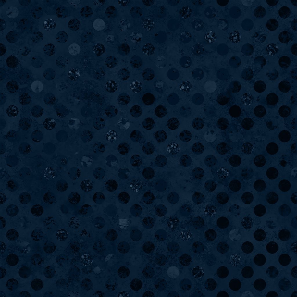 [W165-001-585] W165-001-585 / Codici-Navy