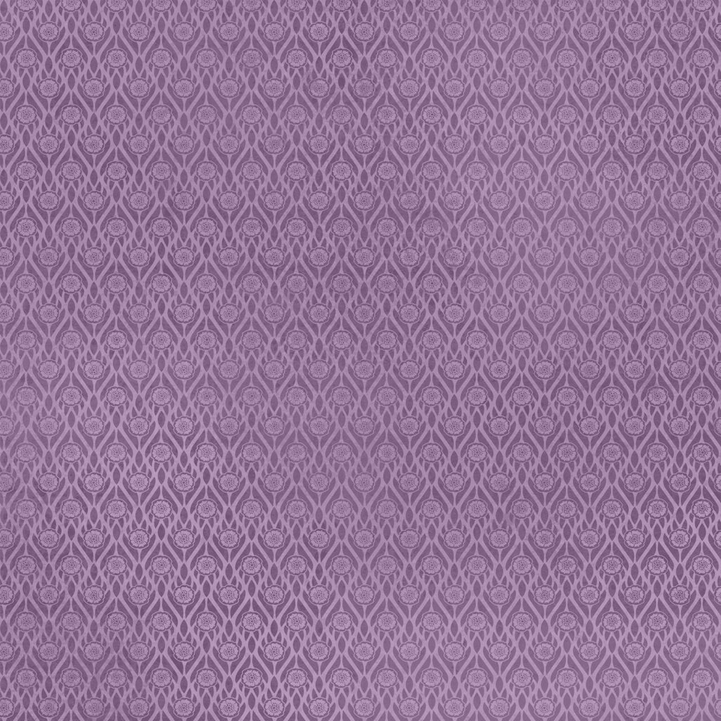 [W130-035-435] W130-035-435 / Ditzy-Purple