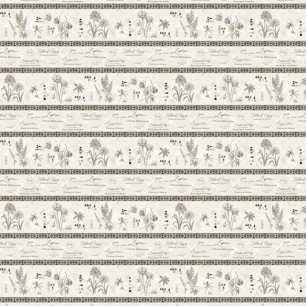 W115-015-077 / W115-015-077 / Border Stripe-Multi
