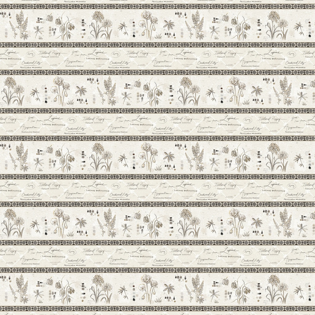 W115-015-077 / W115-015-077 / Border Stripe-Multi