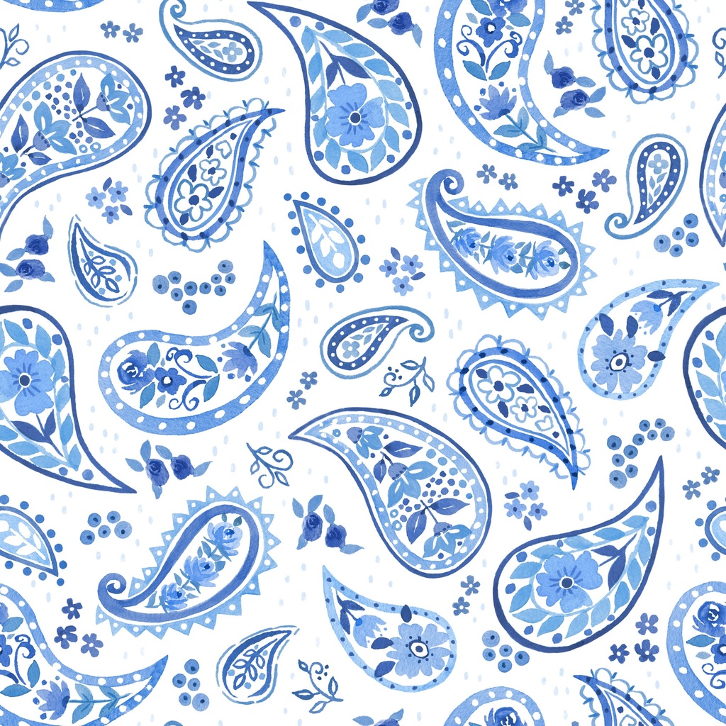 [W160-003-050] W160-003-050 / Paisley-White