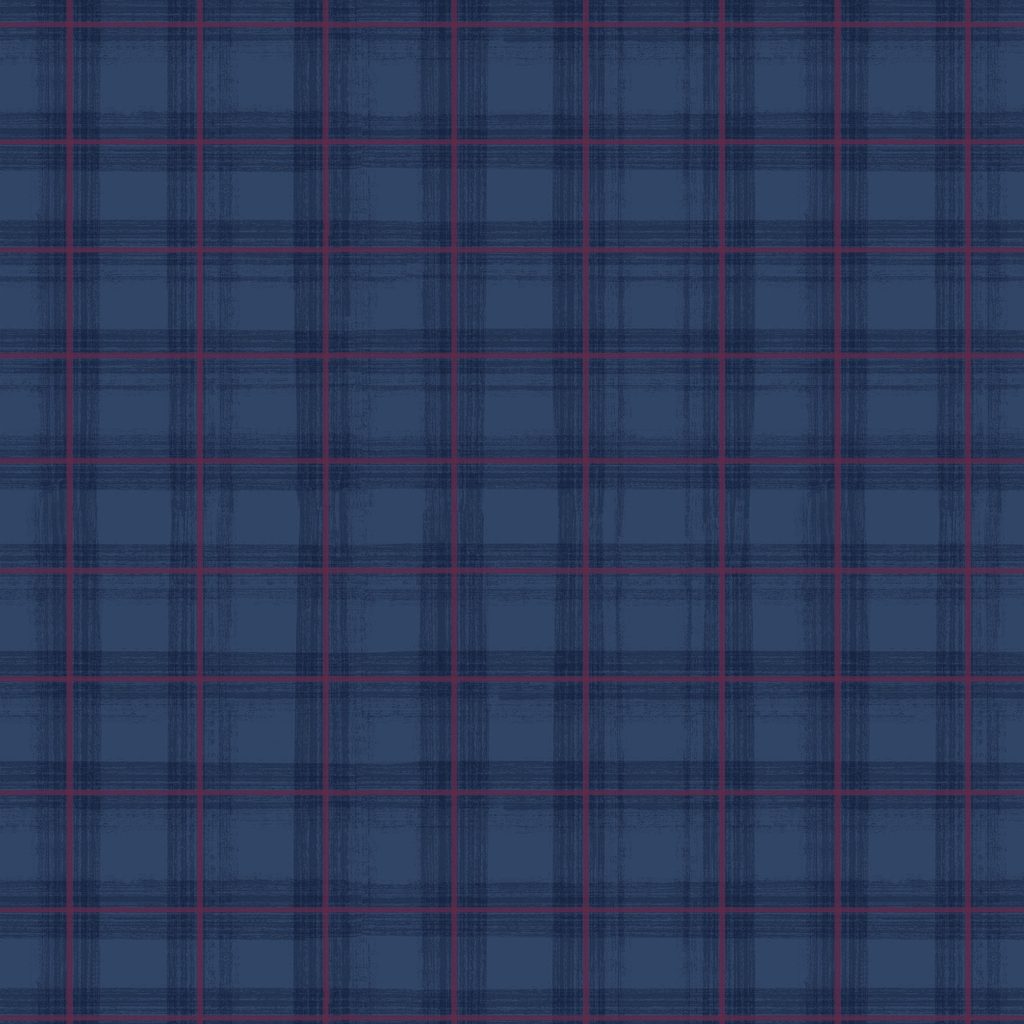 [W175-009-545] W175-009-545 / Plaid-Denim