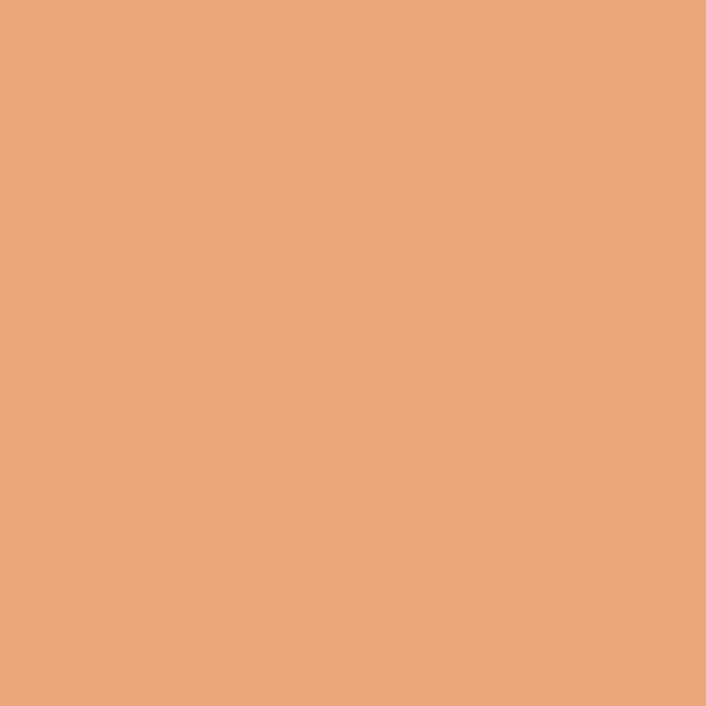 [EC-256] EC-256 / Apricot