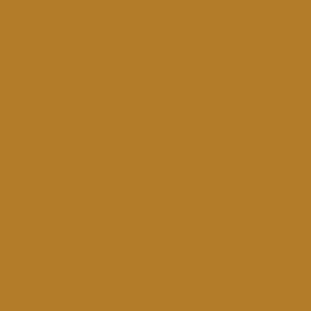 [EC-271] EC-271 / Camel