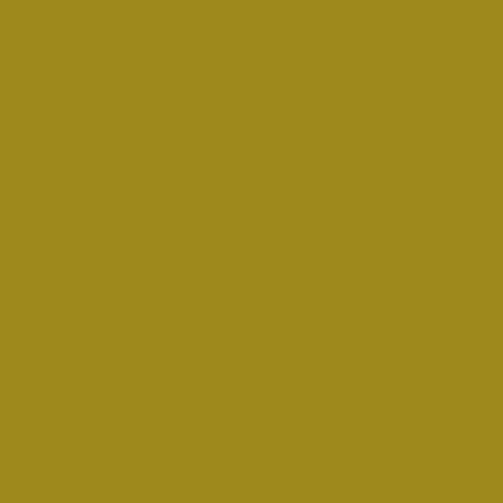 [EC-623] EC-623 / Bronze Yellow