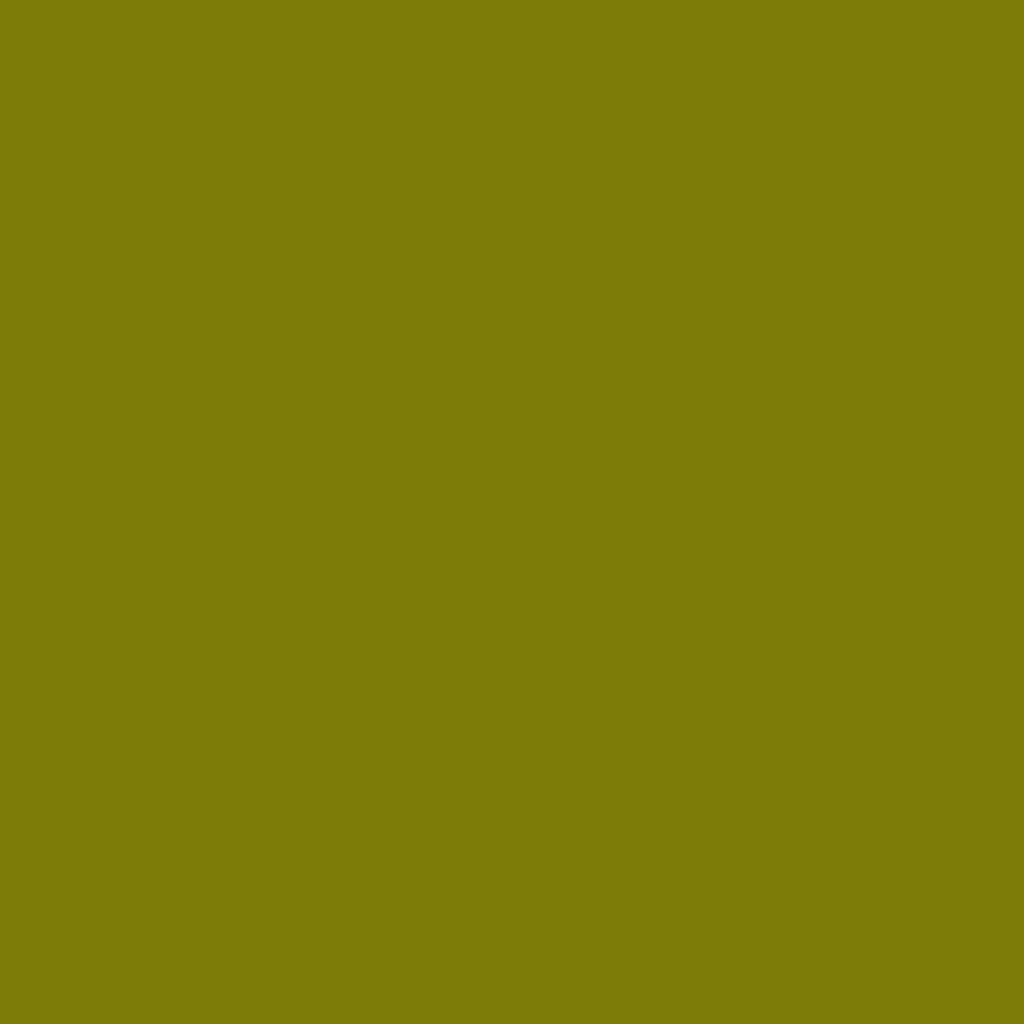 EC-657 / Olive