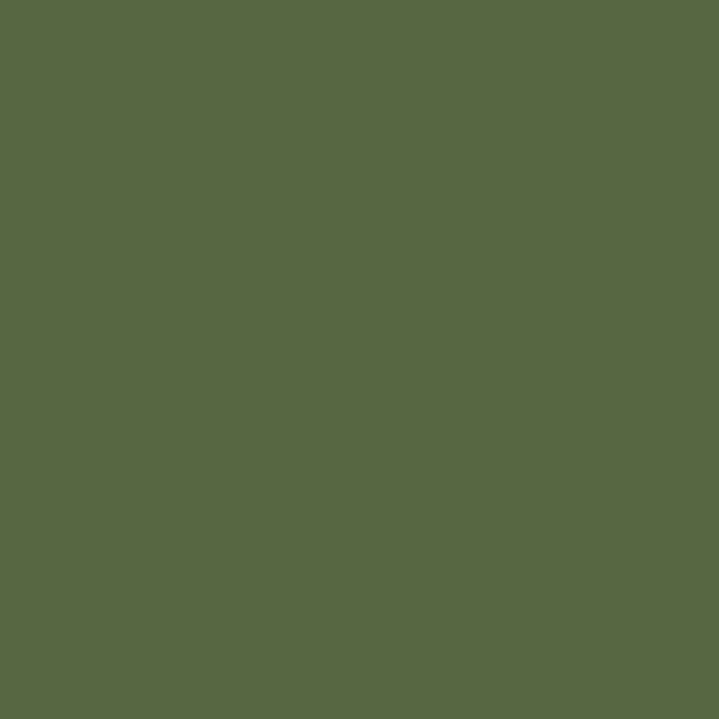 EC-672 / Swamp
