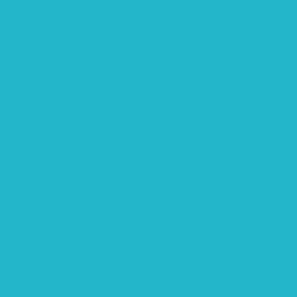 [EC-945] EC-945 / Teal