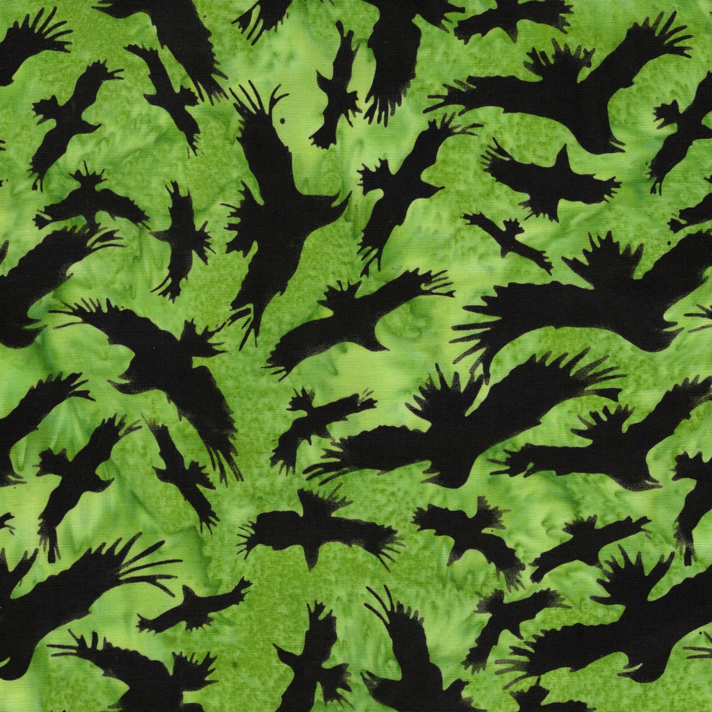 [122683633] 122683633 / Ravens Green Apple