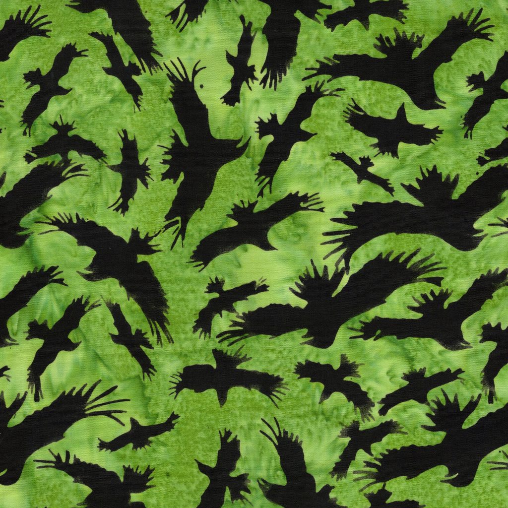 122683633 / Ravens Green Apple