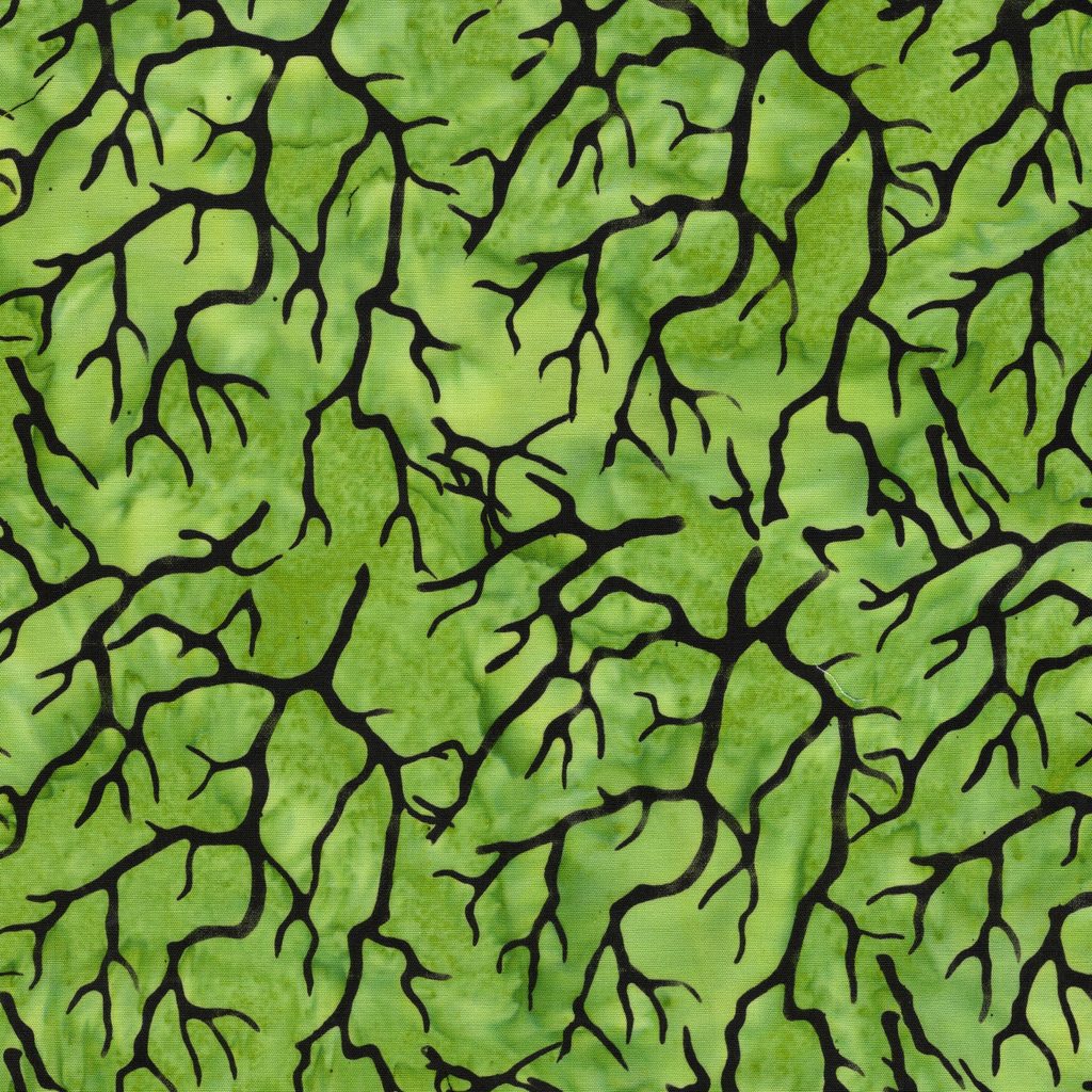 [122687633] 122687633 / Branches Green Apple