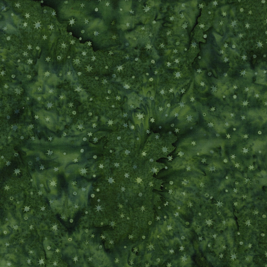 [422604675] 422604675 / Snow Green Turtle