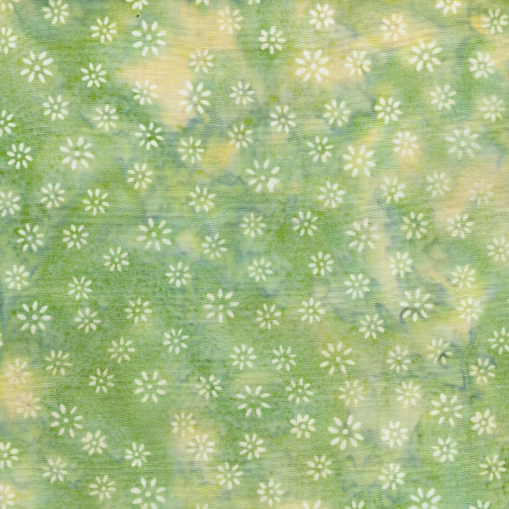 [422605600] 422605600 / Tossed Stars Green Mint