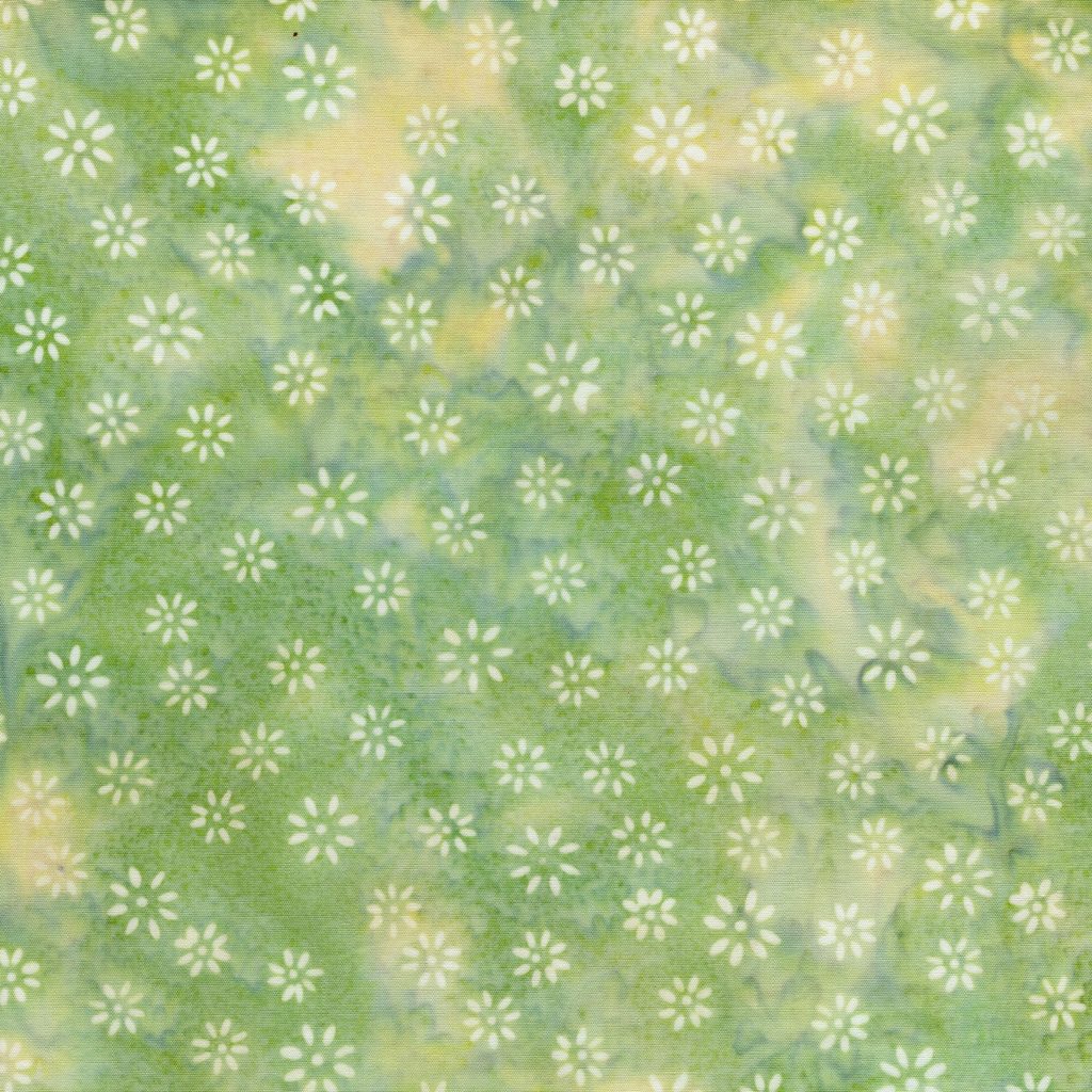 422605600 / Tossed Stars Green Mint