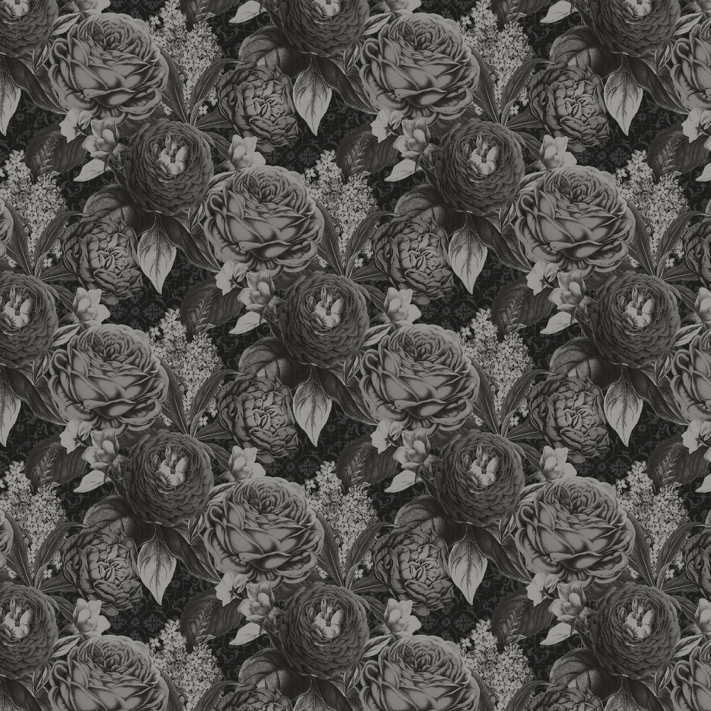 [W130-042-999] W130-042-999 / Outlandish Odyssey - Black