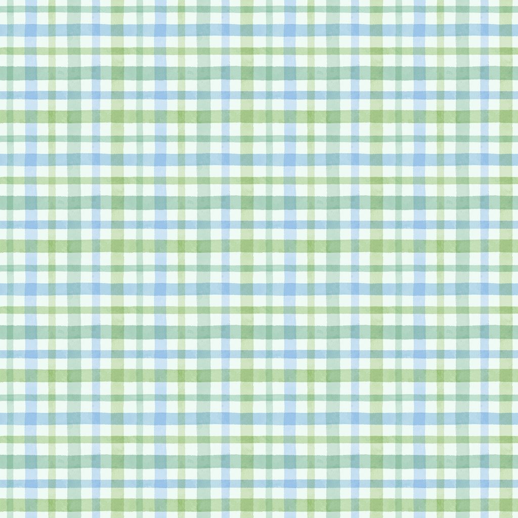 W110-030-778 / Plaid - Blue