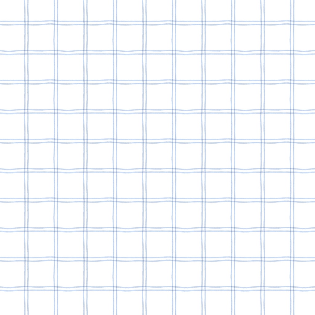 [T100-006-177] T100-006-177 / Plaid - Blue