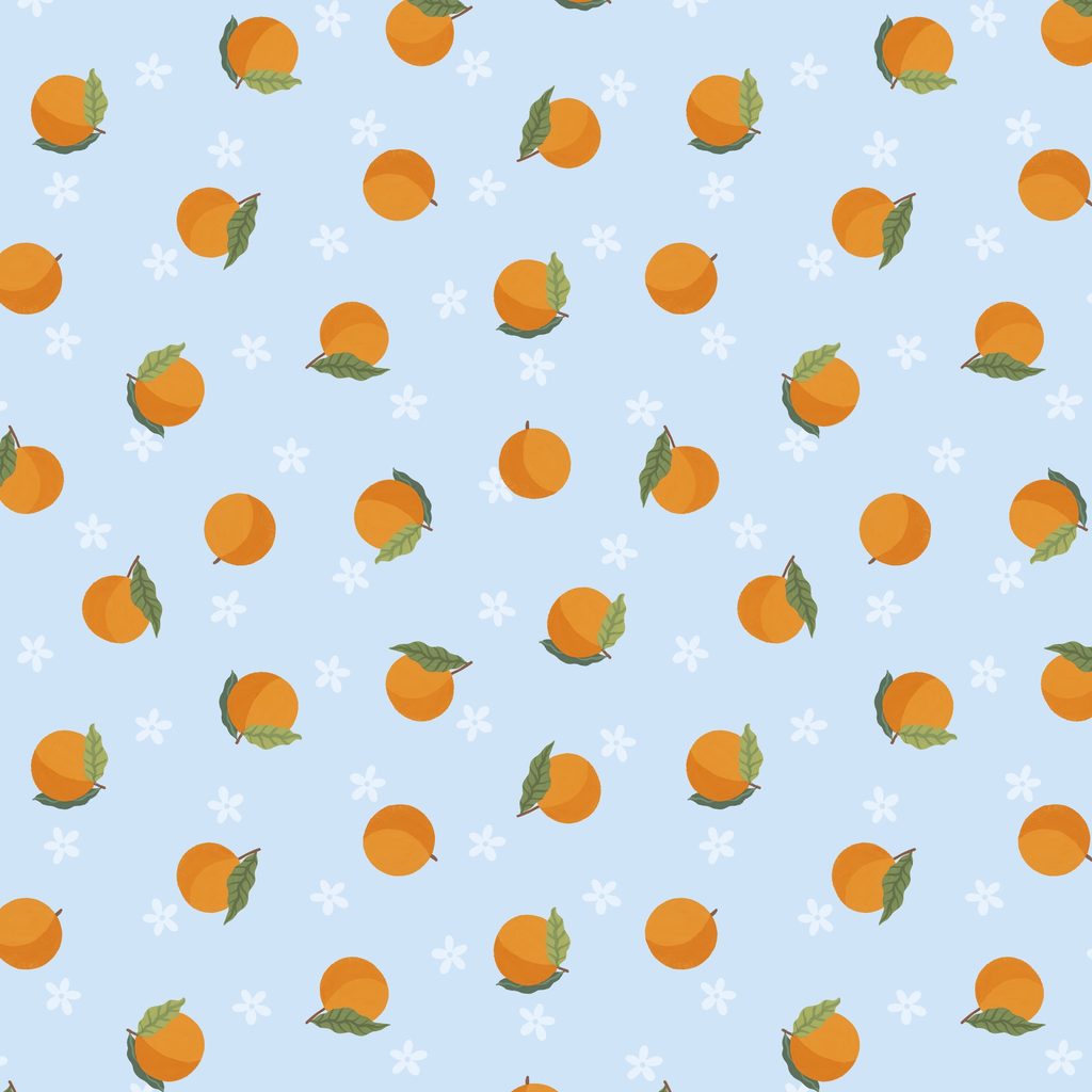T110-004-748 / Oranges - Blue