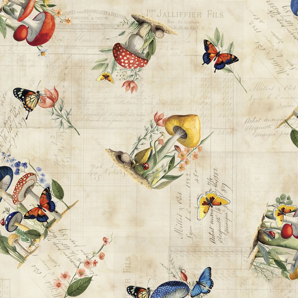 [W150-014-157] W150-014-157 / Large Mushroom Toss - Parchment